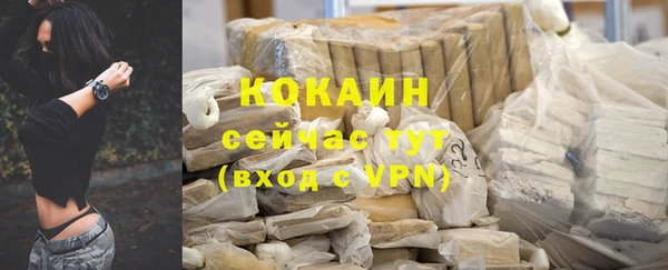 шишки Арсеньев