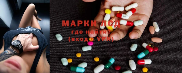 шишки Арсеньев