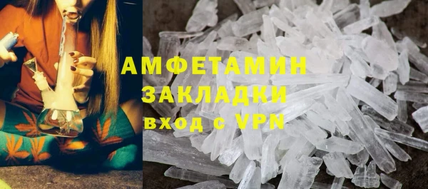 шишки Арсеньев