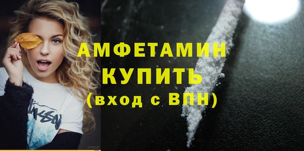 шишки Арсеньев